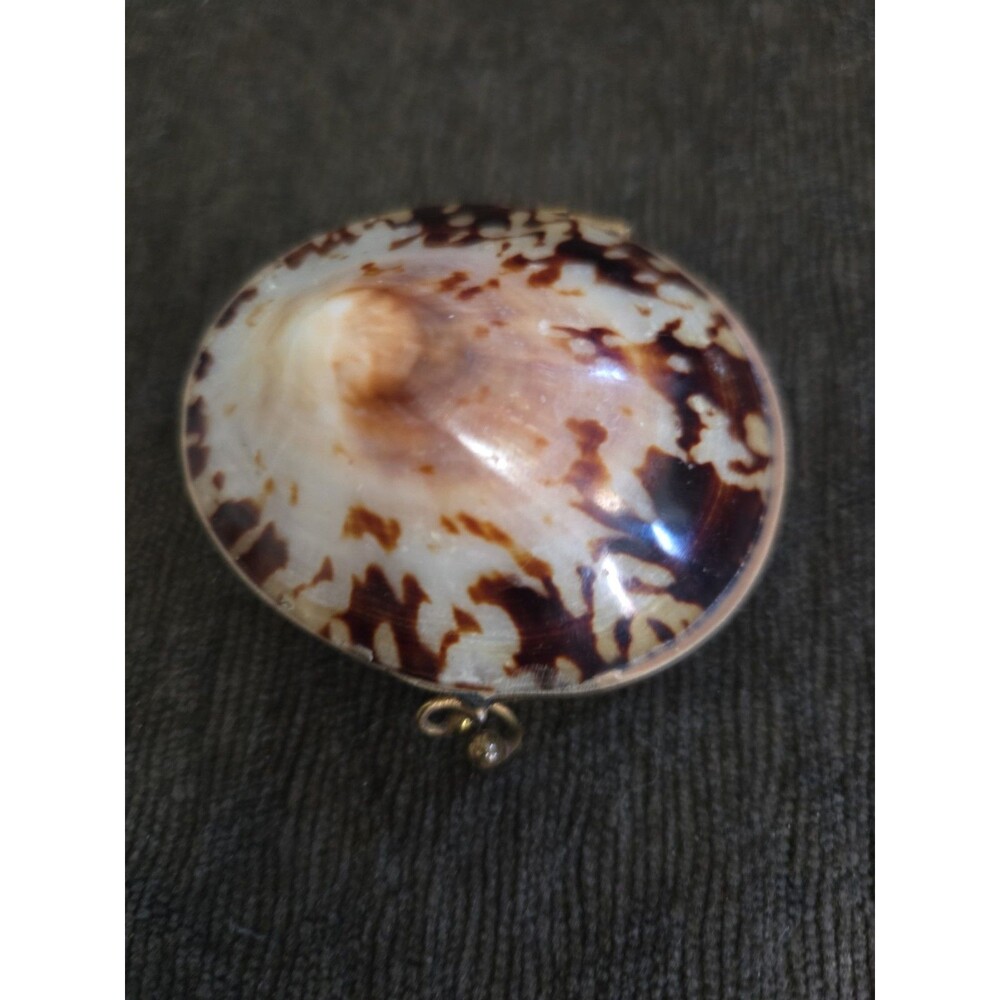 VTG Brown  Sea Shell Box Brass Hinged Trinket Jewelry Pill Rosary Ring  Case